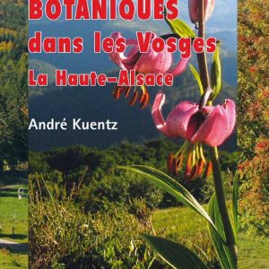 Randonnées Botaniques dans les Vosges